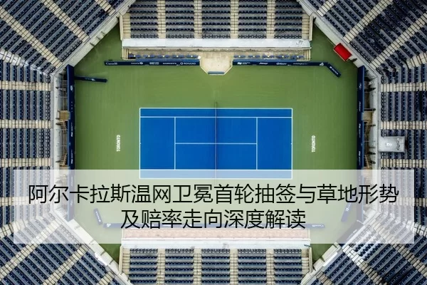 a-er-ka-la-si-wen-wang-wei-mian-shou-lun-chou-qian-yu-cao-di-xing-shi-ji-pei-lv-zou-xiang-shen-du-jie-du-2-257.jpg